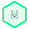 Weapon item